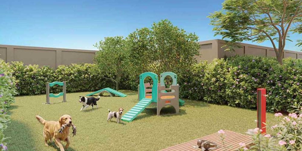 gran-resort-sao-caetano-pet-place